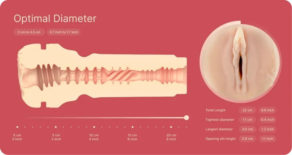 Dimensions: 22 cm long, 1.1 cm tightest and 3.0 cm largest diameter, 2.8 cm opening